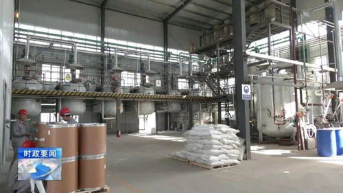 牢记嘱托 乘势而上 李哲调研城西机电化工产业集聚区，强调安全高效推动化工生产